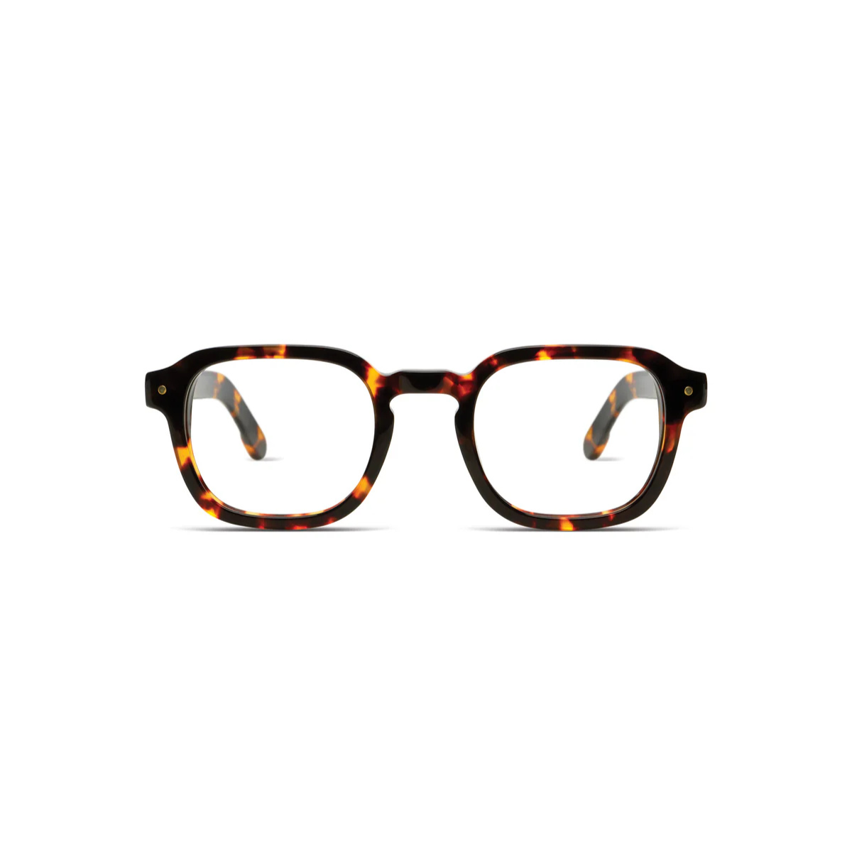 Knox Tortoise